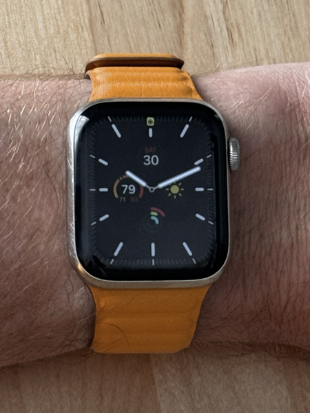 Stainless steel Apple Watch with California Poppy Leather Link Bracelet